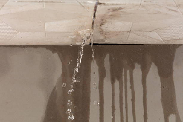 Professional Flood Damage Cleanup technician working in Fife, WA